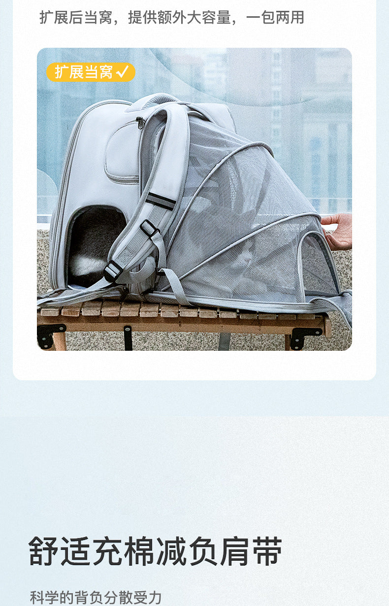 Summer Breathable Mesh Pet Carrier Bag, Portable Cat Carrier with Opening, Small Dog Backpack Manufacturer Wholesale